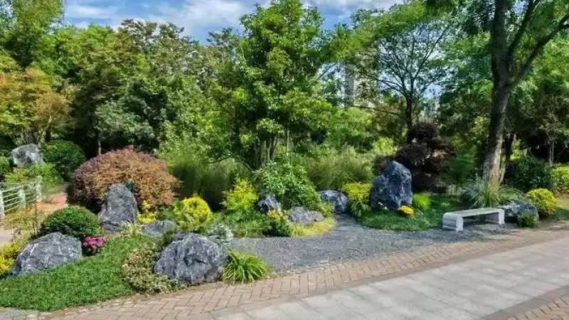 jinnianhui 金年会 垂直绿化植物选择热点