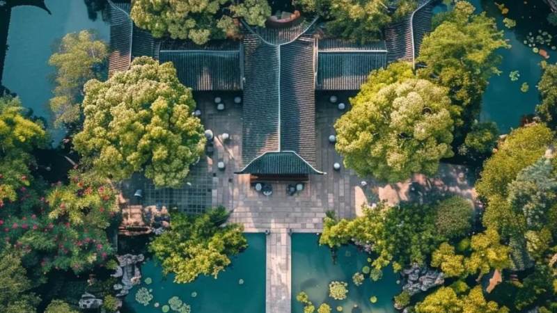 jinnianhui 金年会 乡土树种应用热点